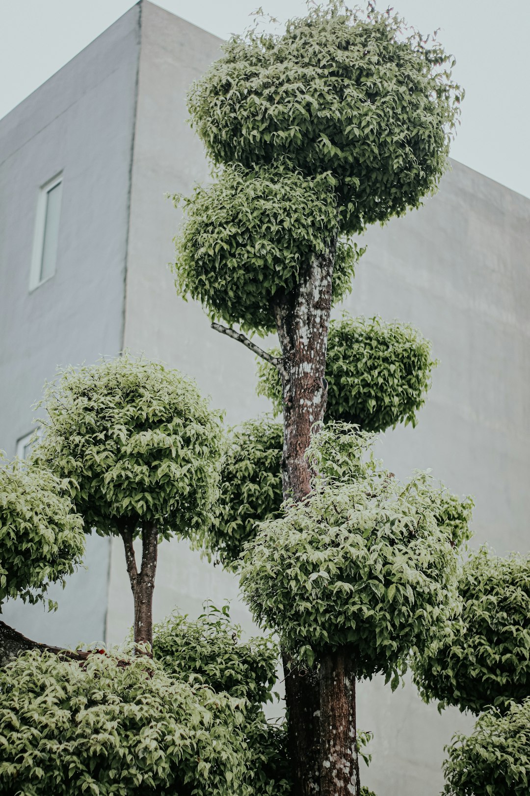 How to Avoid Oversharing in Best Times to Message